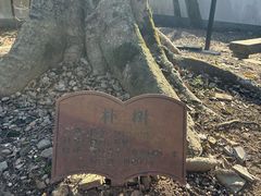 -上海佘山国家森林公园天马山园