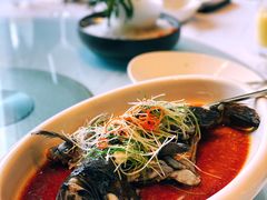 -青岛富力艾美酒店