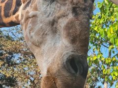 -清迈夜间动物园