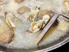 圣子-水哥卜卜贝(东晓·胜汇里店)