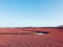 -红海滩国家风景廊道