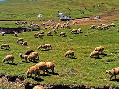 -青海湖国家重点风景名胜区