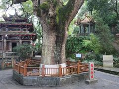 -安溪清水岩