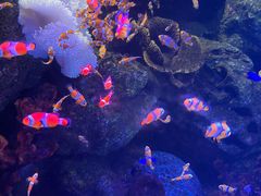 -沈阳海洋探索中心