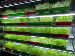 -番食园鲜食火锅(高新店)