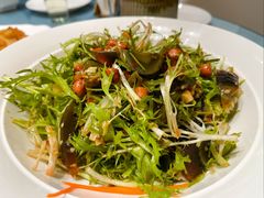 -大连湾旭日·家宴·海肠捞饭(马栏广场店)
