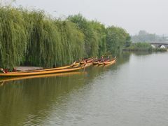 -溱湖国家湿地公园