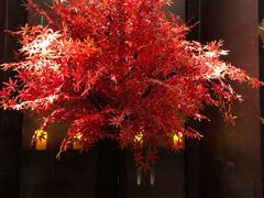 -梅筑·创意料理(王府井百货店)