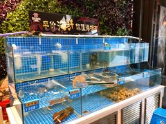 水产区-佳兰雅序融合菜(高新店)