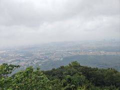 -紫金山山顶公园