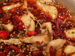 黑豆花水煮鱼-舞辣辣·川菜·黑豆花水煮鱼(卓悦汇店)