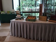 -苏州环秀晓筑养生度假村