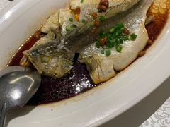 -维园悦谱·海派家常菜(乌鲁木齐南路店)