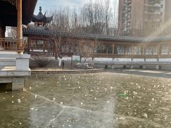 -南普公园