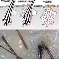 -木北造型