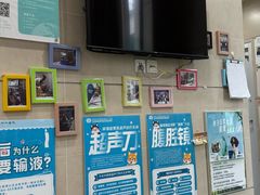 -谐和益家动物医院·免疫绝育·血液透析·宠保定点医院(高新伊藤分院)