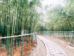 -同里国家湿地公园