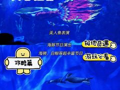 -石家庄极地海洋世界