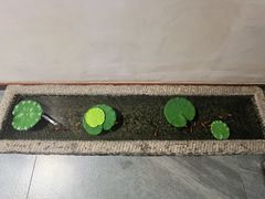 -徐师傅太子锅(龙泽路店)