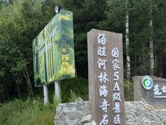 -汤旺河林海奇石景区