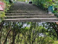 -宁波市保国寺古建筑博物馆