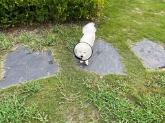 -盐官日光域房车营地·有盐餐厅