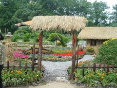 android_upload_pic-解放公园