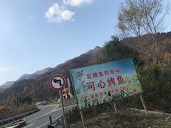 -可心烤鱼