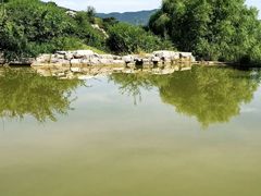 -北京西山国家森林公园