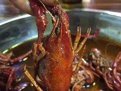 -520香辣小龙虾(美食街总店)