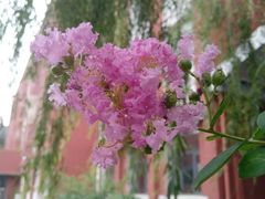 -中国政法大学(昌平校区)