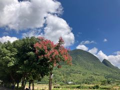 -万峰林风景区