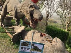 -盛世牡丹苑生态文化旅游区