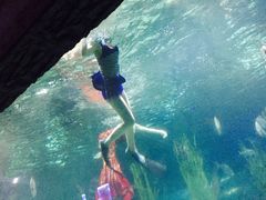 -南昌海洋公园