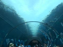 -海棠湾洲际-涛·海底餐厅·美人鱼·自助餐·海底隧道