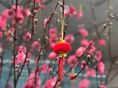 -福州长乐国际机场