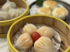 -潮江春(阳光店)
