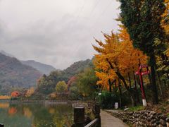 -秦岭终南山世界地质公园翠华山景区