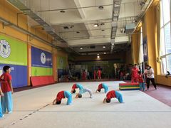 -武术世家少儿培训中心(首都体育学院店)