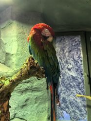 -Zoolung Zoolung动物主题公园(海信广场店)