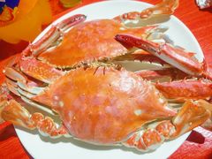 -小红门海鲜