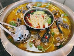 -黑河坝泡姜鸡贡椒鱼(贾旗路店)