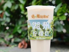 -猫的魔法密林(衣裳街店)