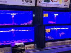 -万宝海鲜舫(劳动公园店)