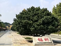 -重元寺香积厨素斋馆