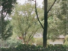 -范蠡湖公园