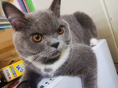 -爱诺耐芙动物医院(万博店)