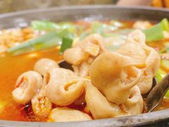 湘味肥肠火锅-湘肠香火锅店(团结湖店)