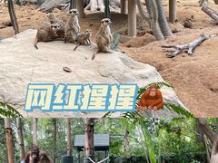 -广州长隆野生动物世界