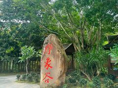 -野象谷景区